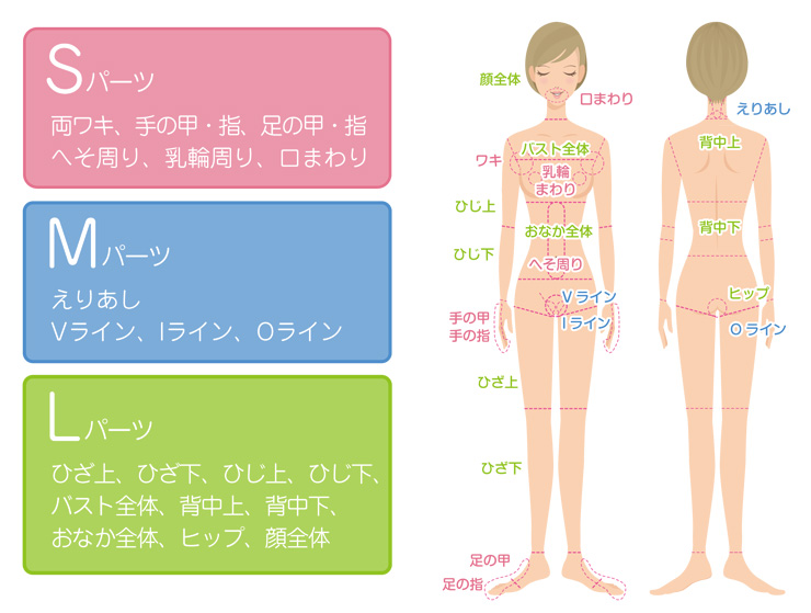 脱毛価格表パーツ図