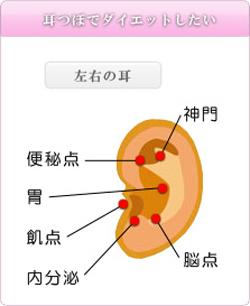 耳つぼでダイエット
